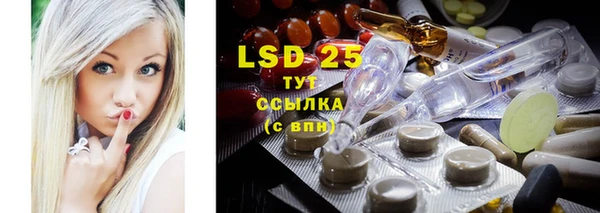 прущие грибы Нефтегорск