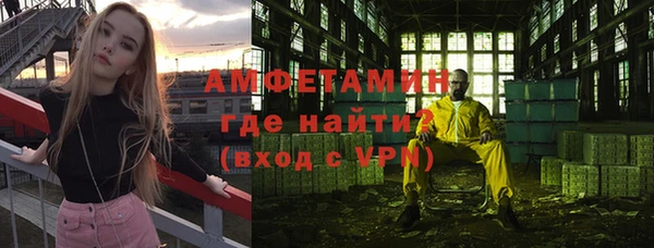 прущий лед Новозыбков