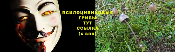 экстази Нея