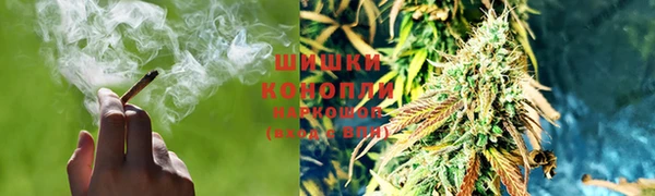 прущие грибы Нефтегорск