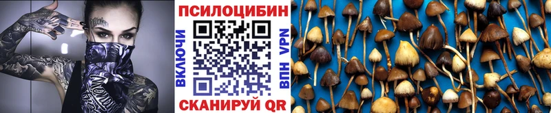 гидра вход  Оленегорск  Галлюциногенные грибы Cubensis 